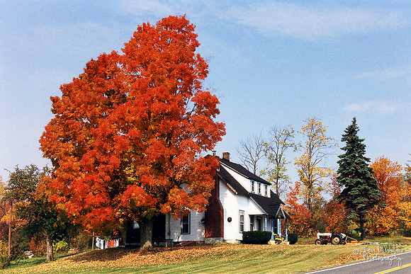 Farm House