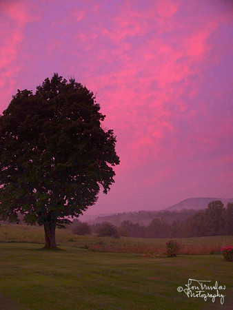 Purple Sunset