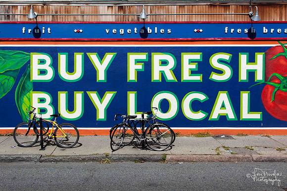 City Feed