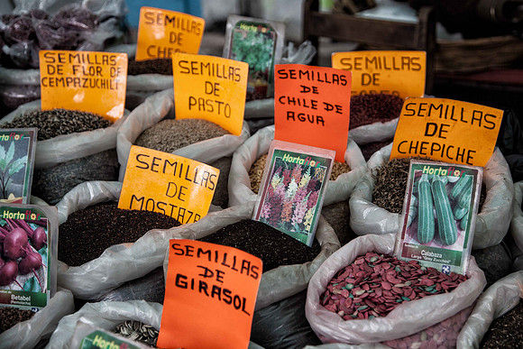 Semillas at Ocatlan Market, Mexico