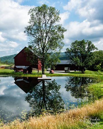 Farm Pond