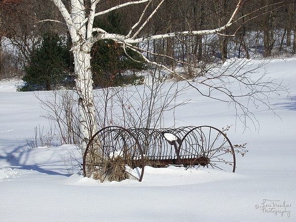 Hay Rake
