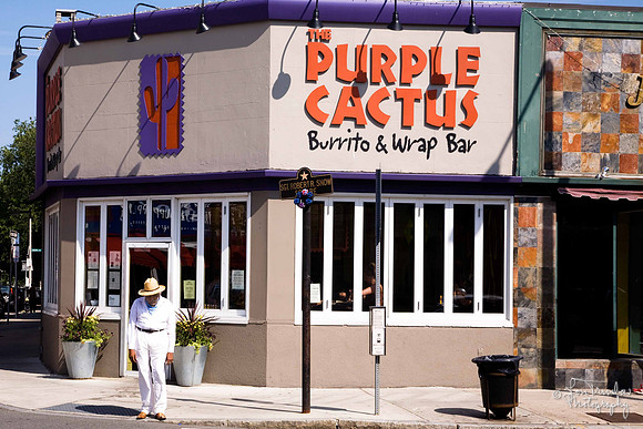 Purple Cactus