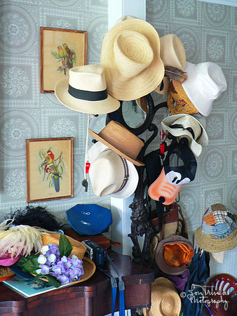 Hat Rack