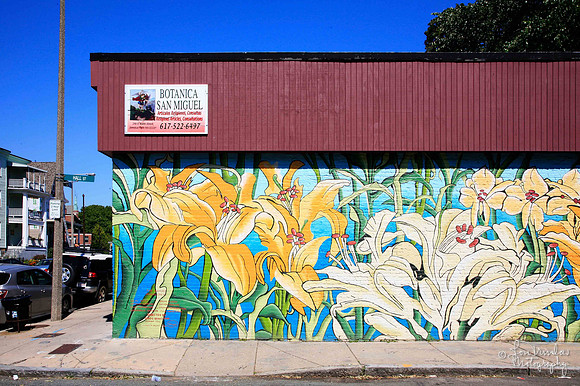 Botanica San Miguel